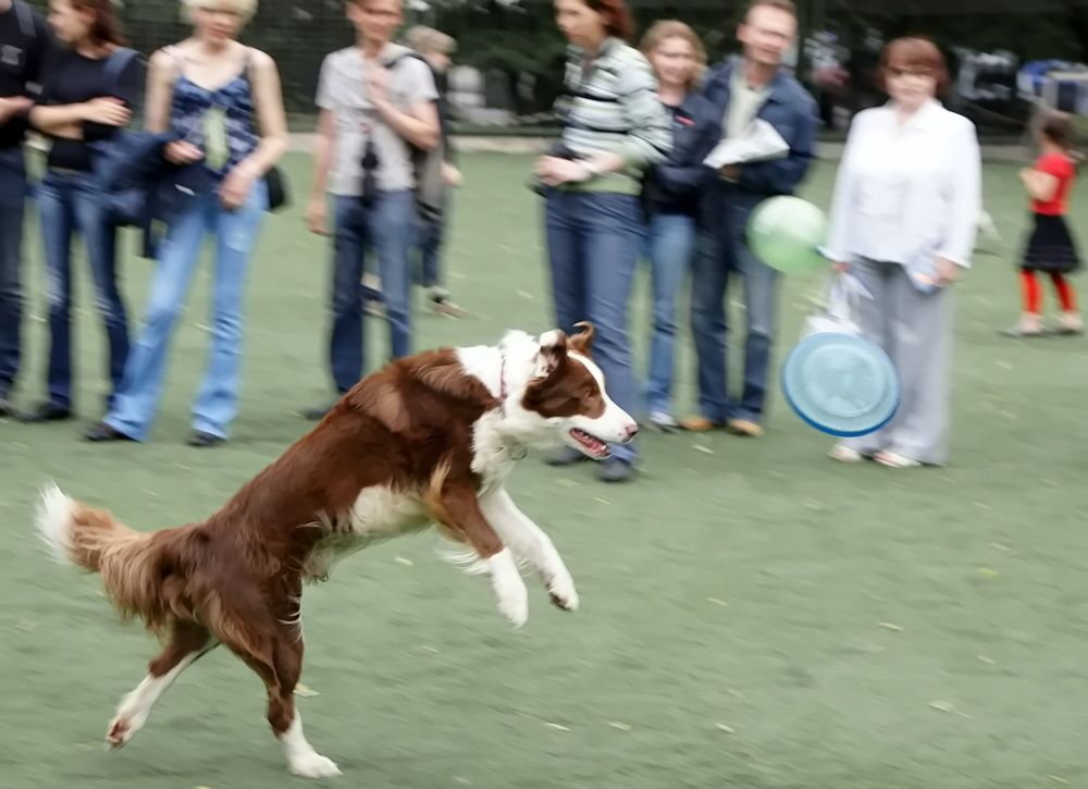 Photograph by Жиляев Евгений