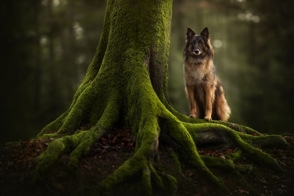 Photograph by Fleur Scholte