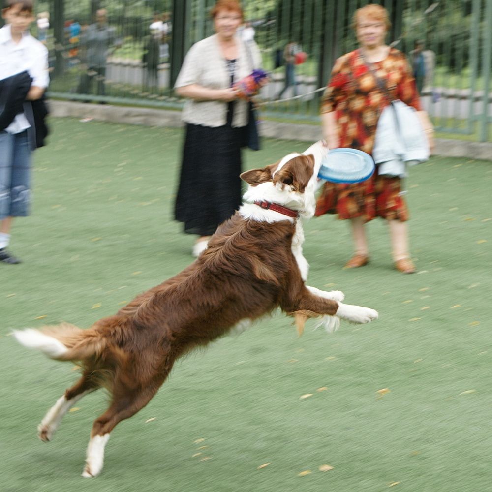 Photograph by Жиляев Евгений