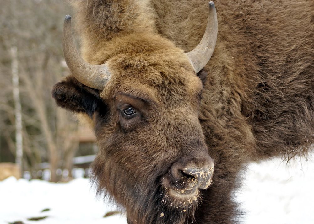 Photograph by Жиляев Евгений