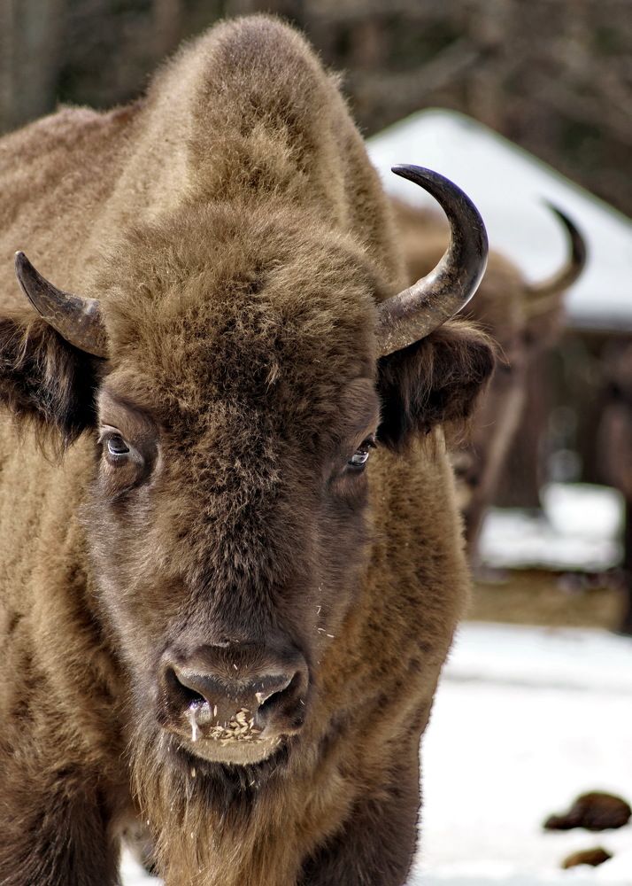 Photograph by Жиляев Евгений