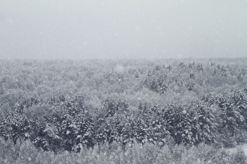 Photograph by Давид Гянджалиев