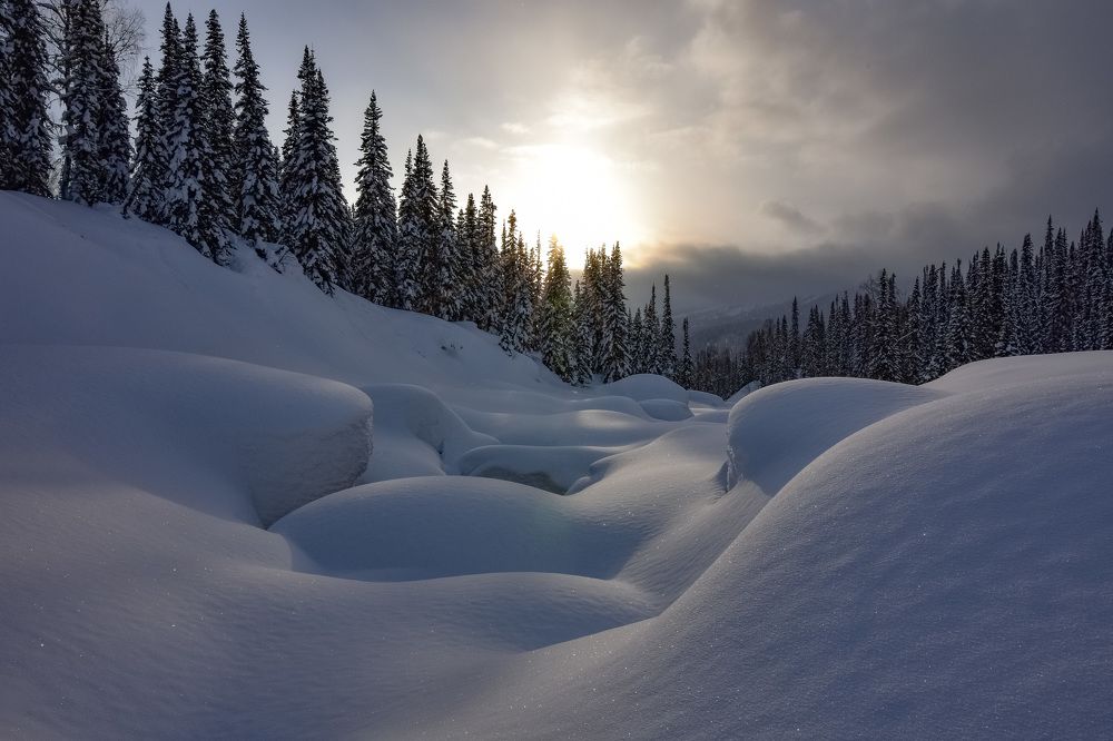 Снежные волны