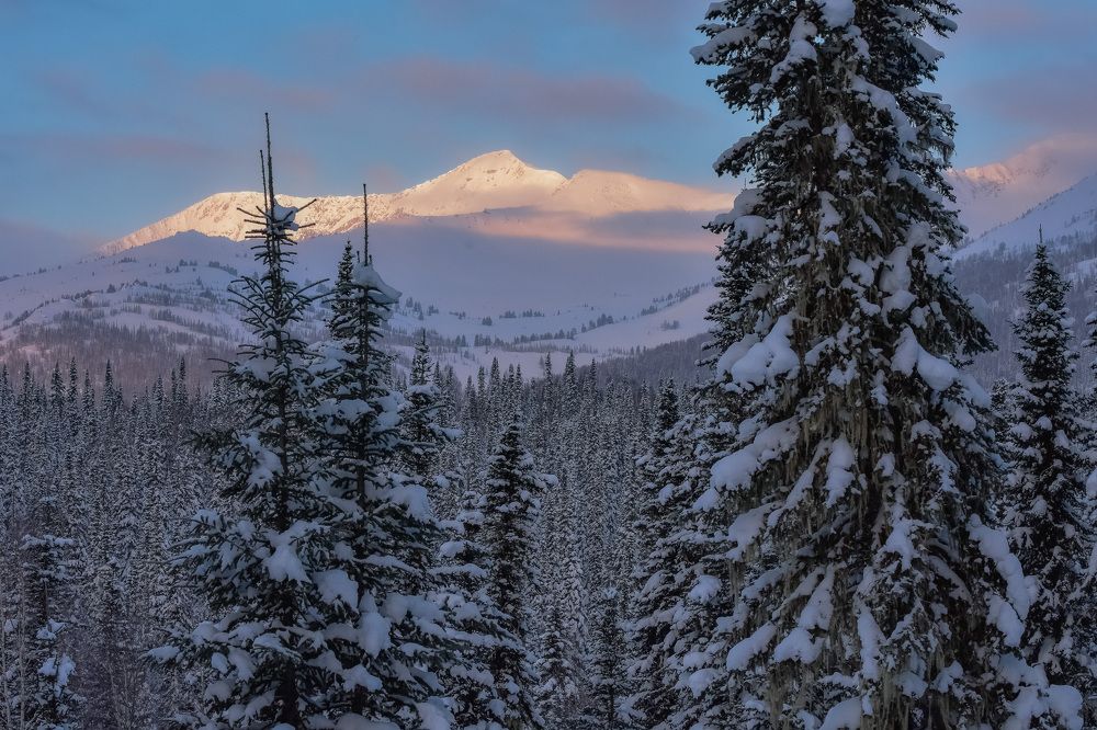 Зимнее утро на Кузнецком Алатау