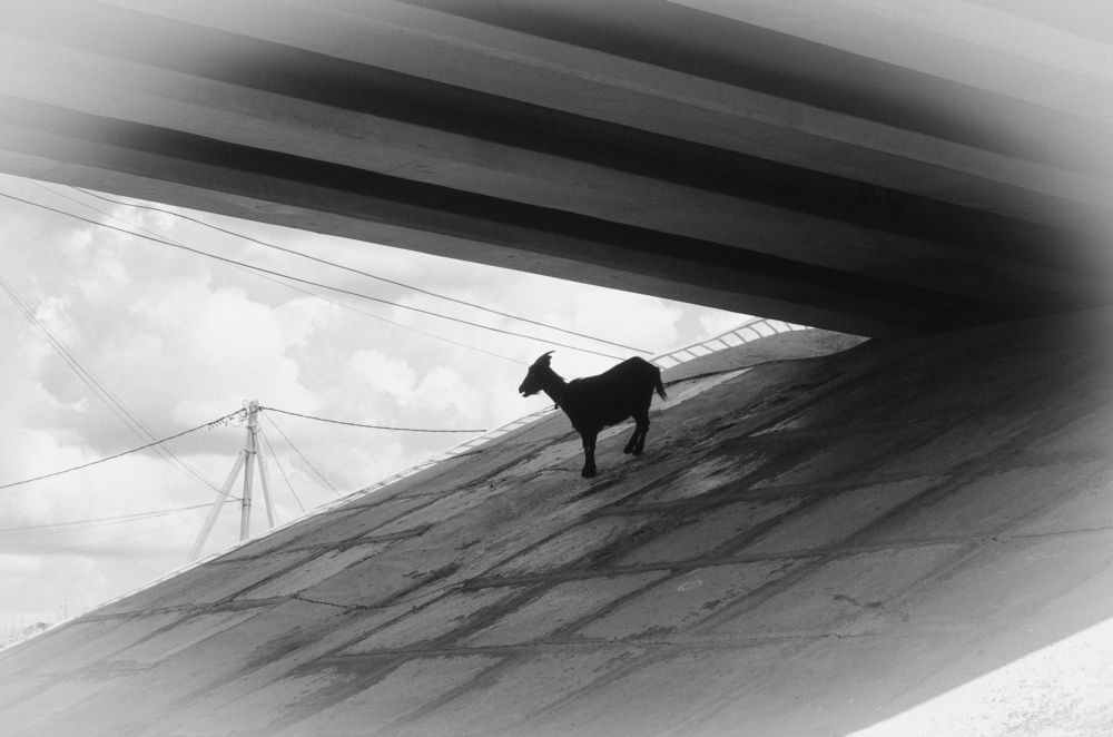 Photograph by Светлана Кудянова