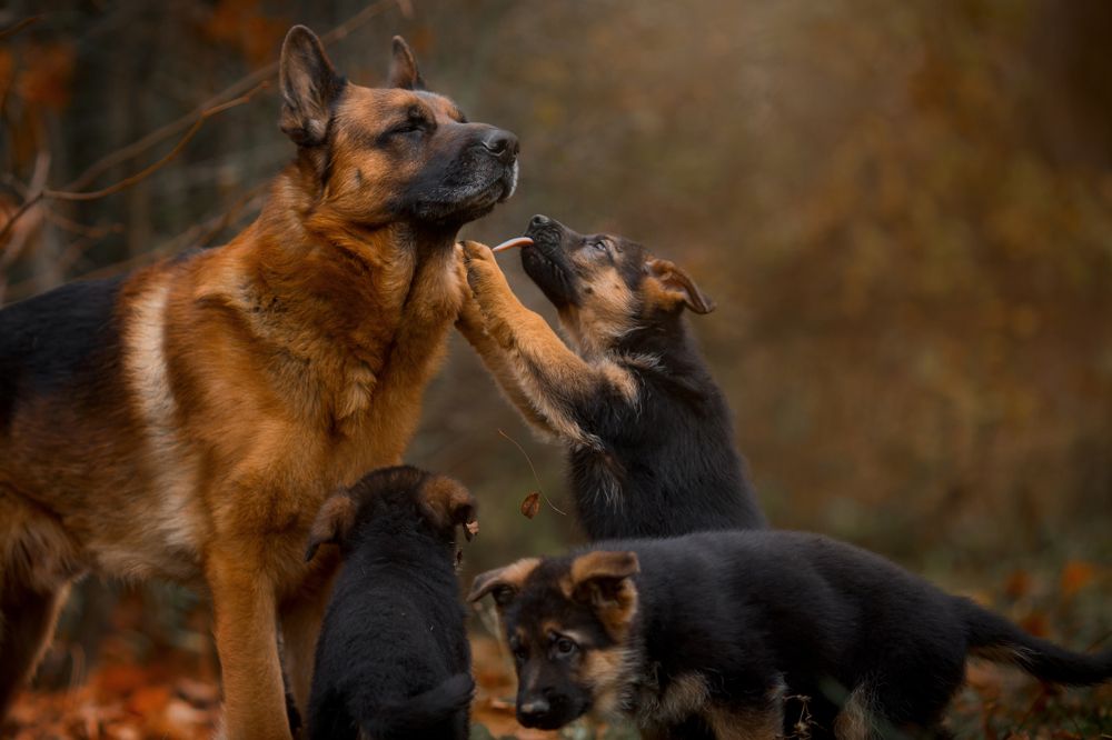 Photograph by Онучина Юлия