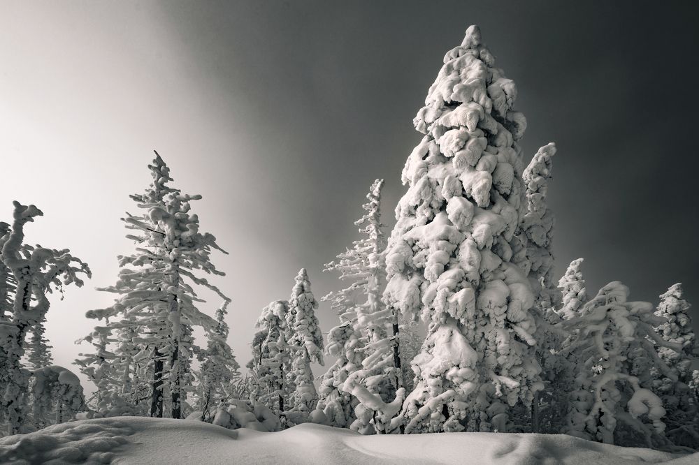 Photograph by Ольга Мусиенко