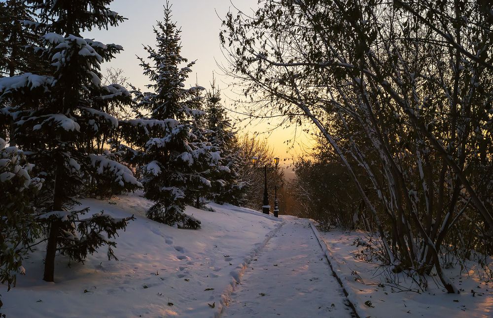 Photograph by Алексей Патлах