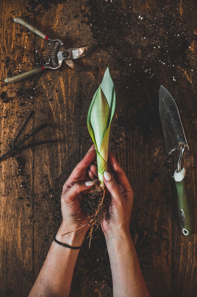 Photograph by Наталья