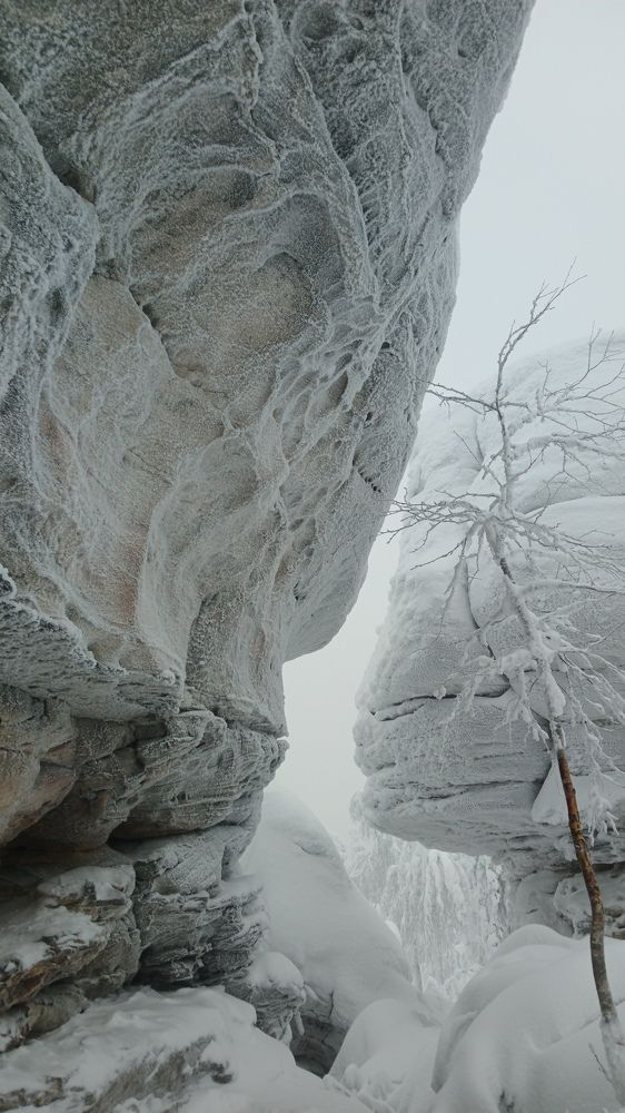 Photograph by Елена Дарьенко