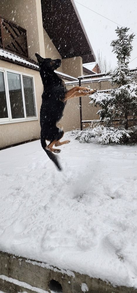 Photograph by Tatiana Denisova