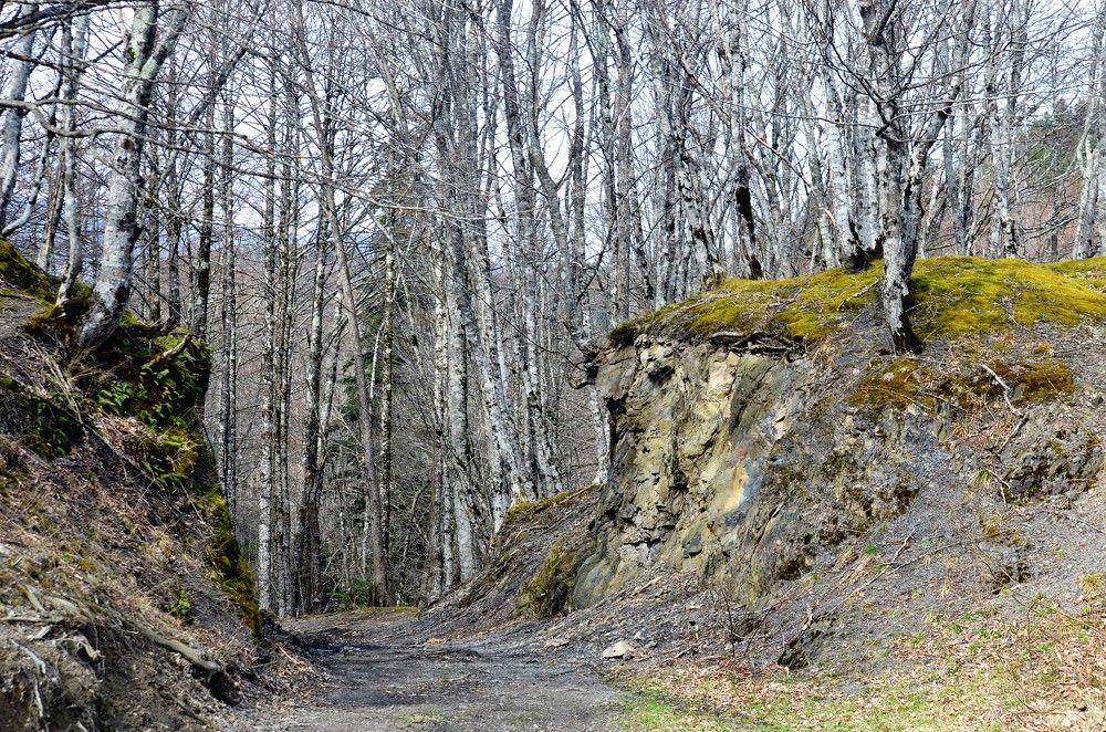 Photograph by Ольга Булавкина