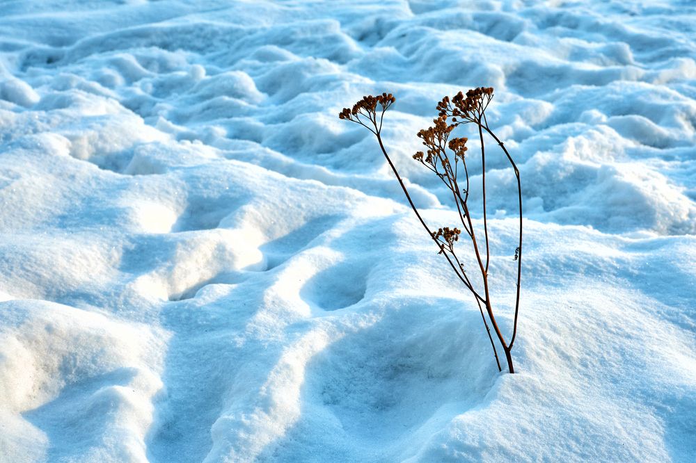 Photograph by Сергей Анисимов