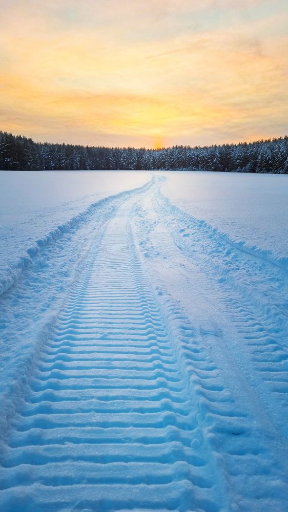 Фотография автора Елена Кабенкина