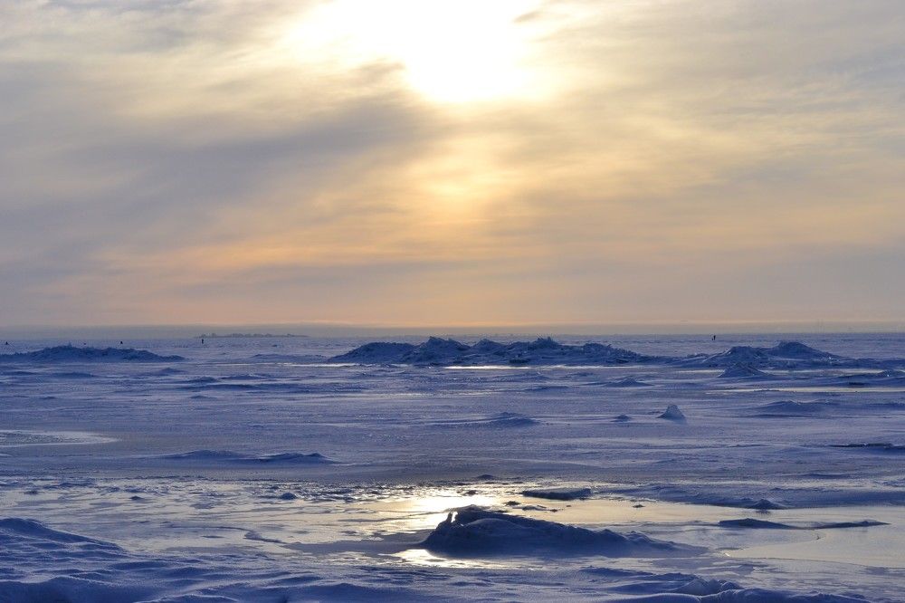 Photograph by Зульфия