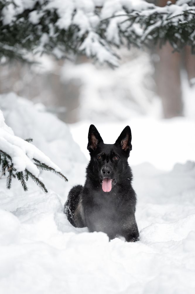 Фотография автора Мария Тигунова