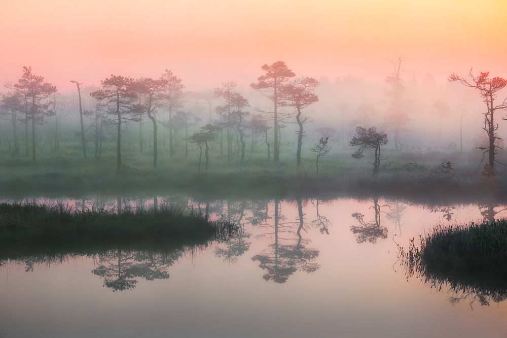 Photograph by Антон Садомов