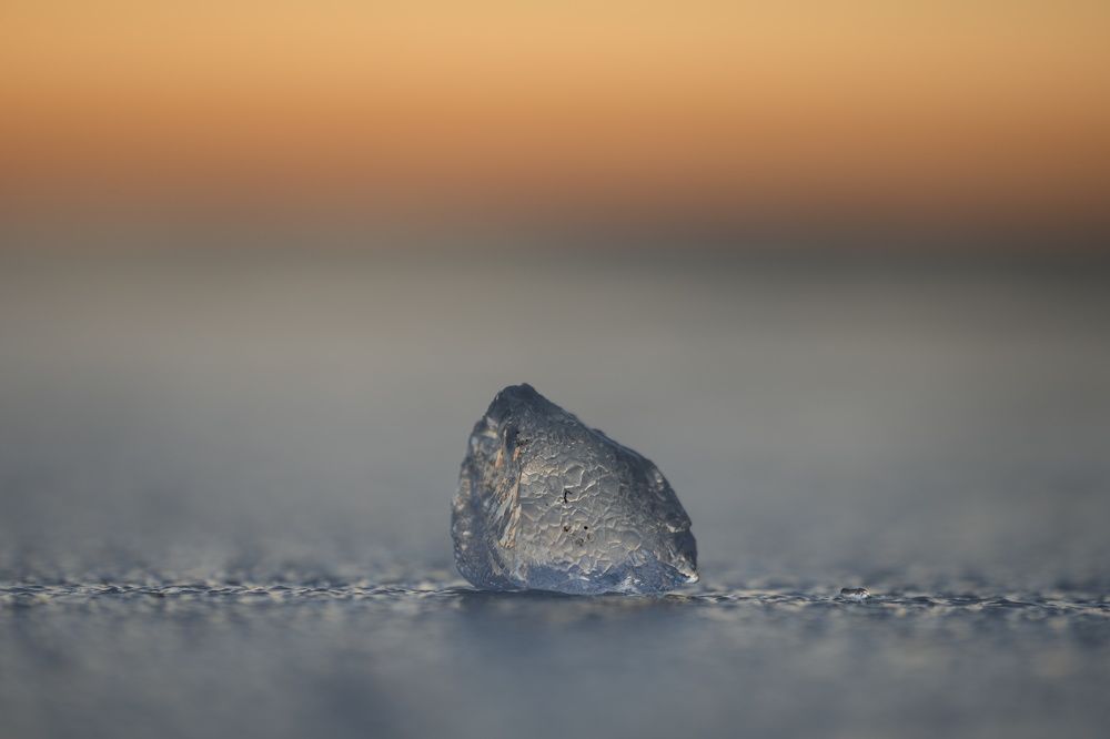 Photograph by Алексей Курносов