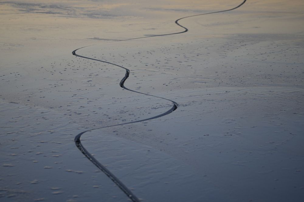 Photograph by Алексей Курносов