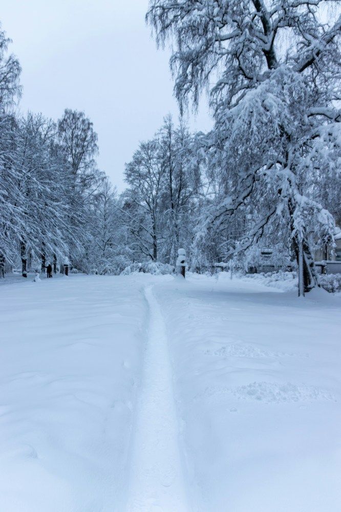 Фотография автора Georgii Eletskikh
