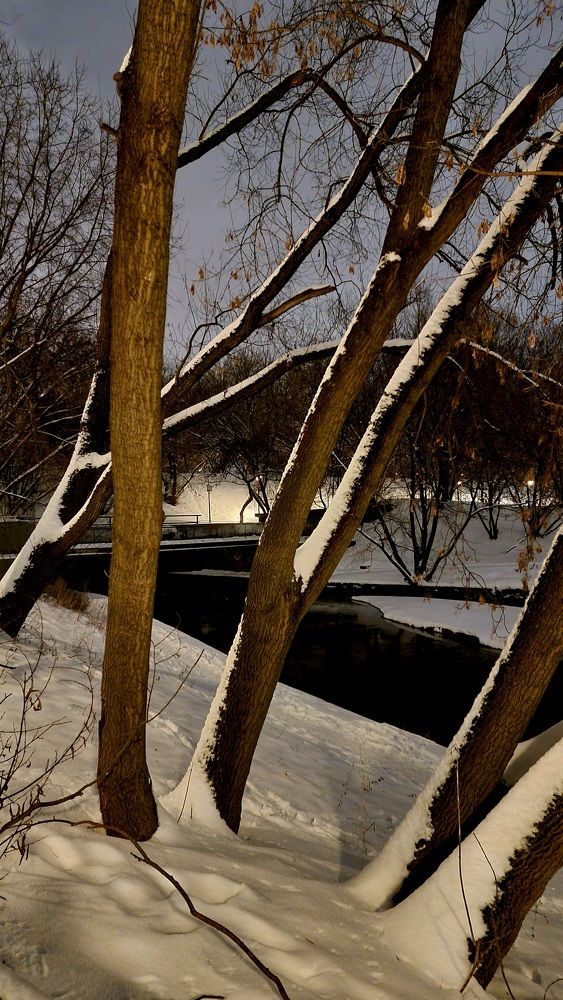 Фотография автора Наталья