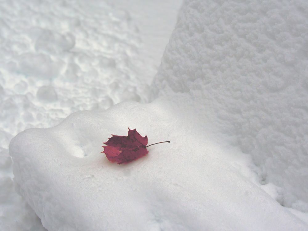 Photograph by Шутов Владимир