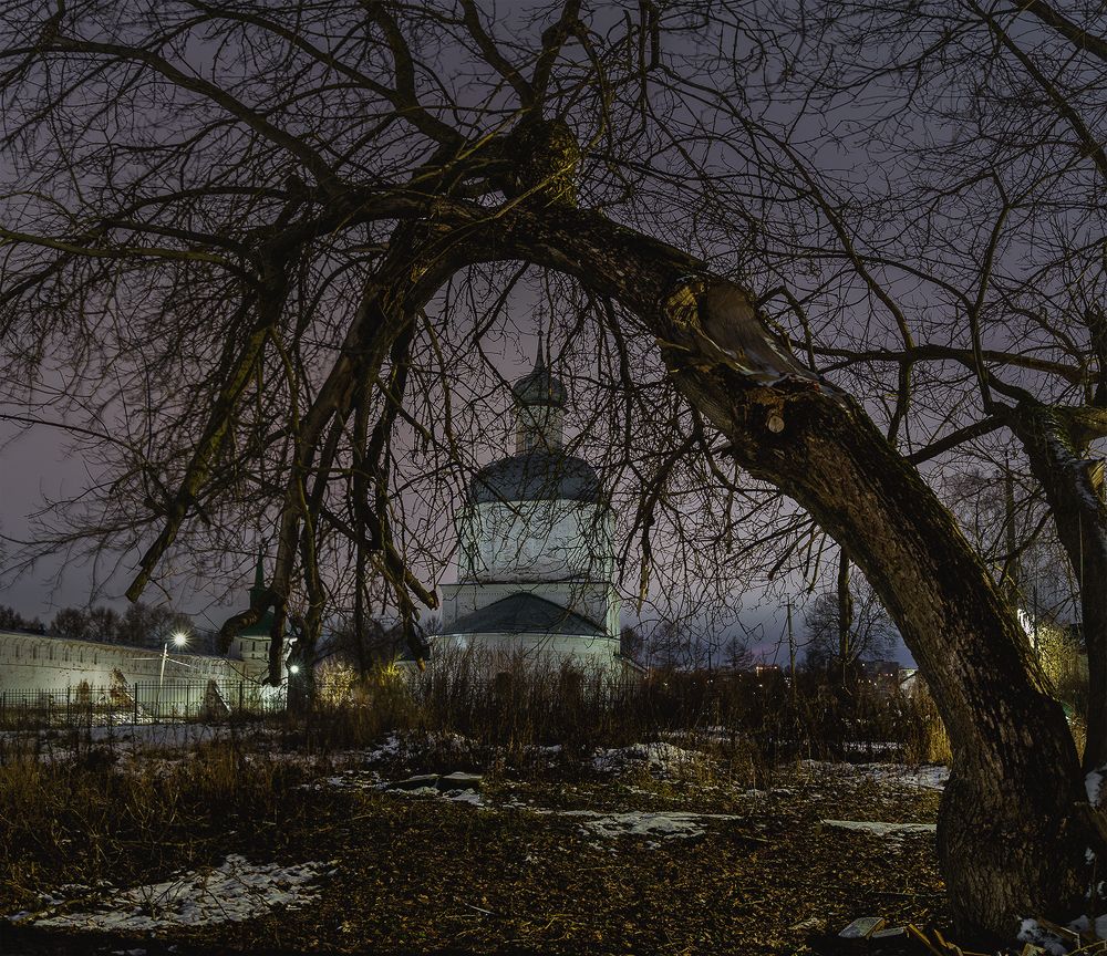 Photograph by Андреев Николай