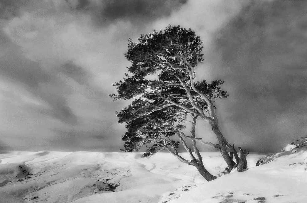 Photograph by  Владимир