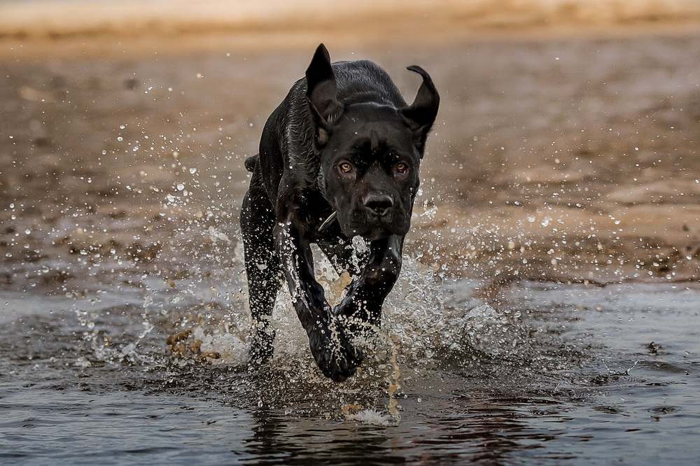 Photograph by Oleg Tsapiuk