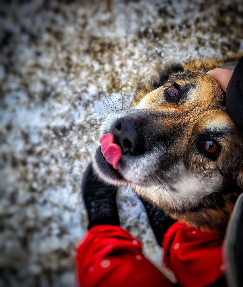 Photograph by Анна Панова