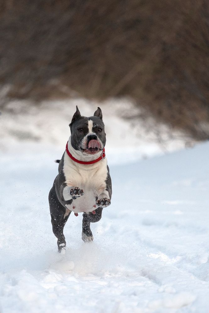 Фотография автора Наталия