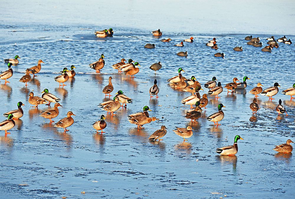 Photograph by Marjo Steffen