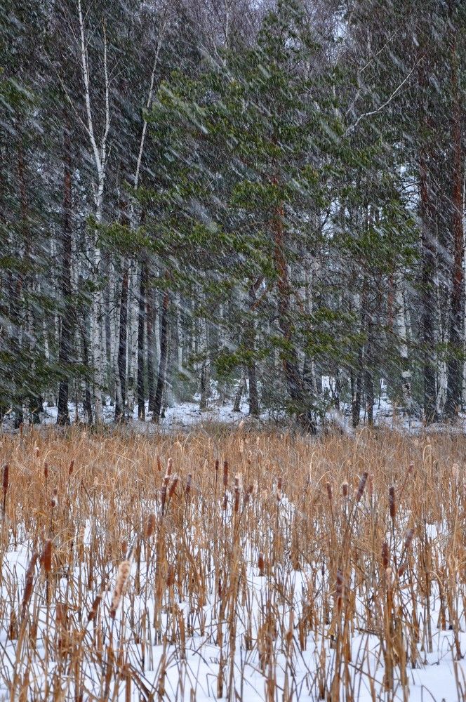 Photograph by Надежда Рудакова