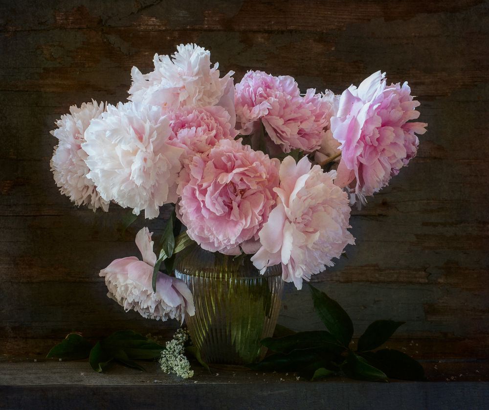 Photograph by Рюмина Ляля