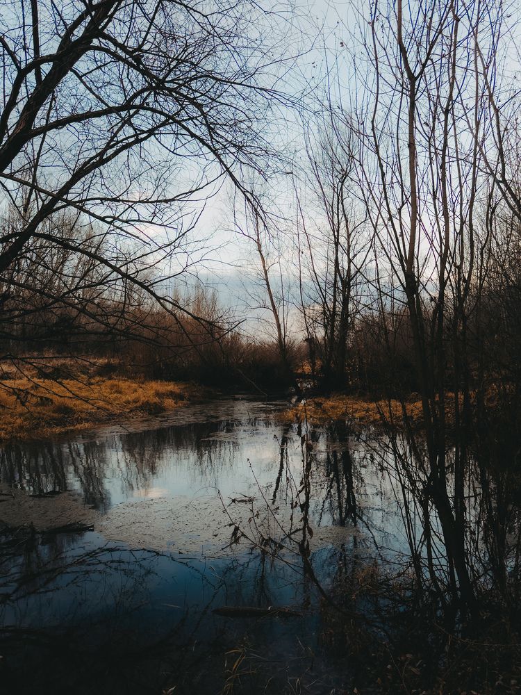 Photograph by Ника Савинкина