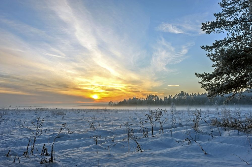 Photograph by Валерий Клейменов