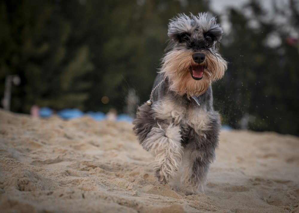 Photograph by Марина Степаненко