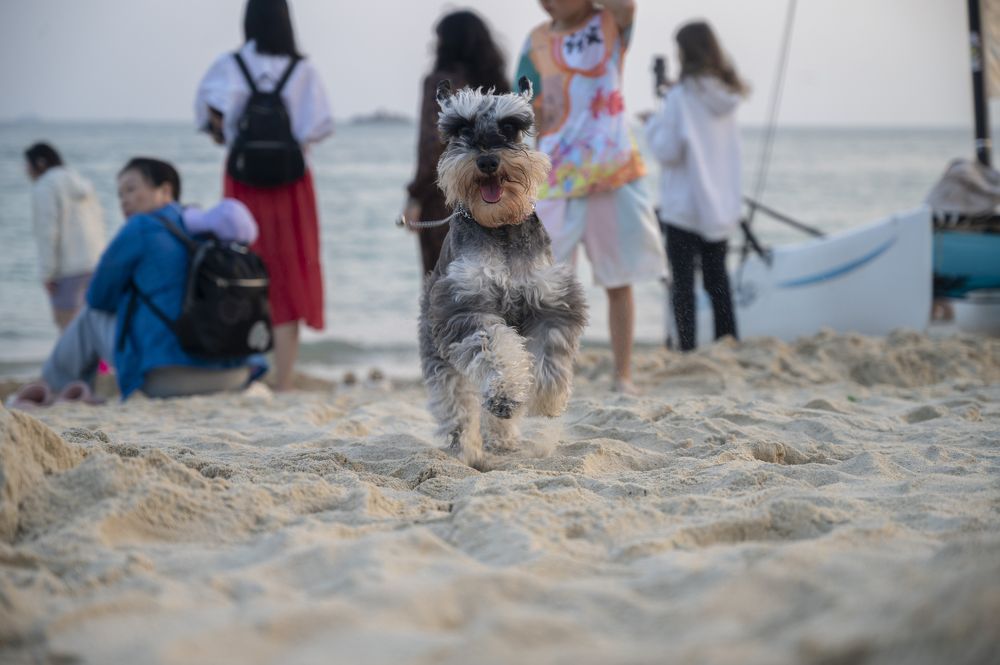 Photograph by Марина Степаненко