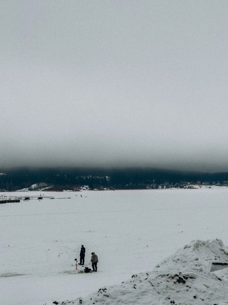 Photograph by Алиса Нежинская