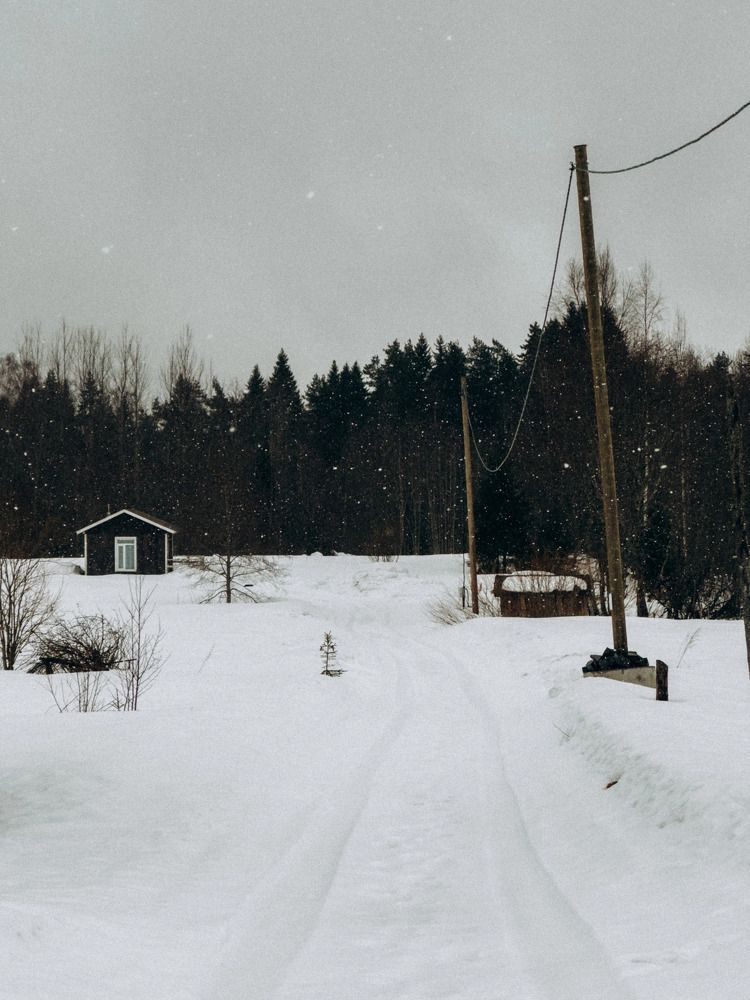 Photograph by Алиса Нежинская