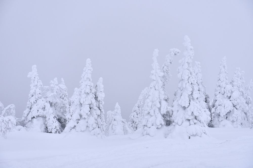 Photograph by Ольга Сергеева