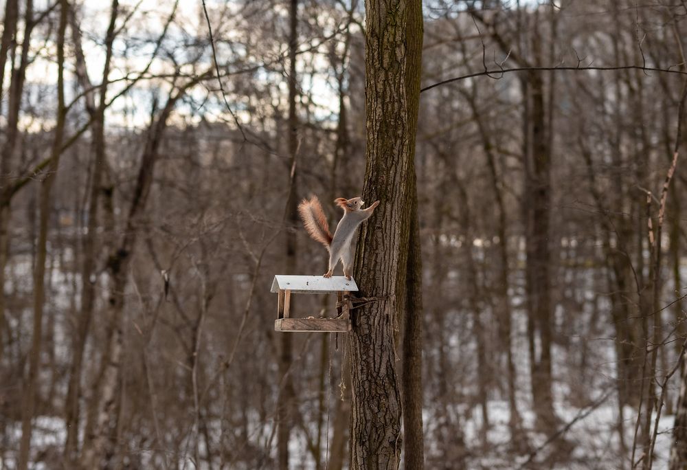 Photograph by Екатерина Каминская