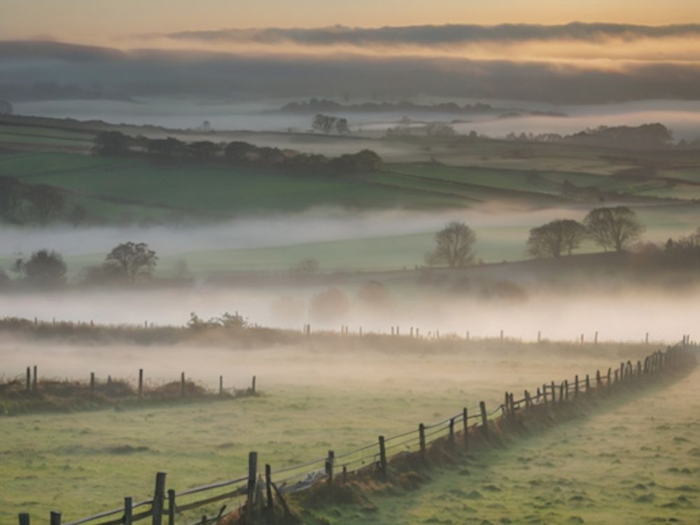 Photograph by Олена Уманцева