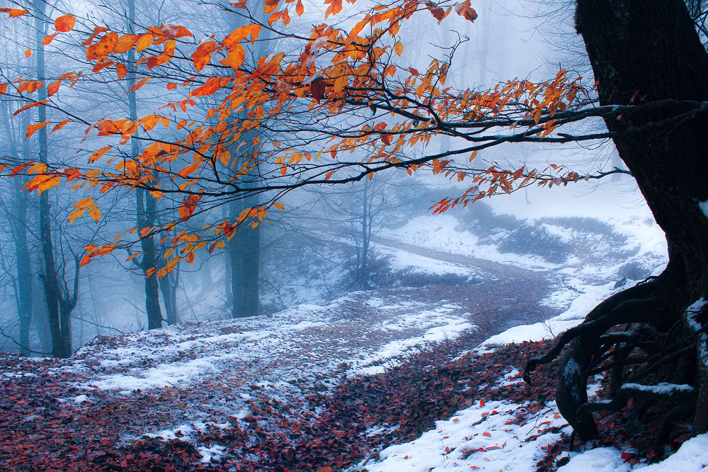 Photograph by hasan sorena jouri