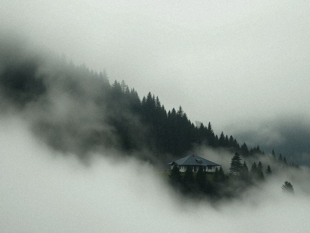 Photograph by Олена Уманцева