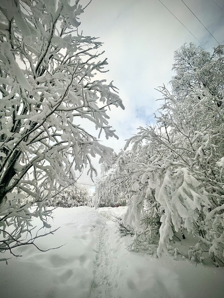 Photograph by Ekaterina Chernyshova