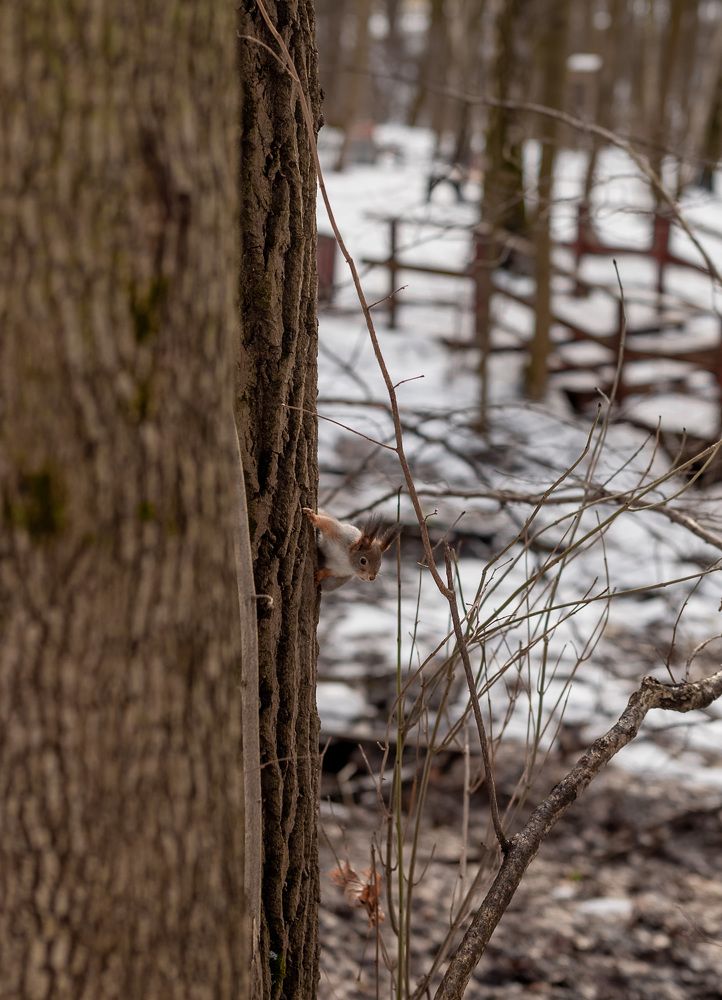 Photograph by Екатерина Каминская