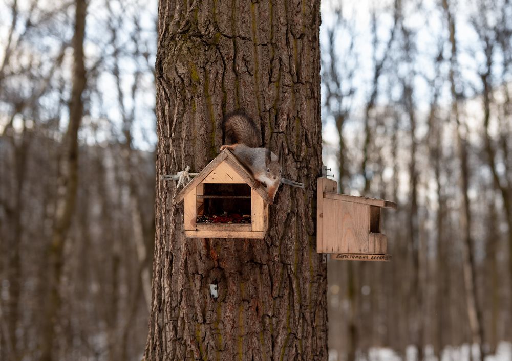 Photograph by Екатерина Каминская