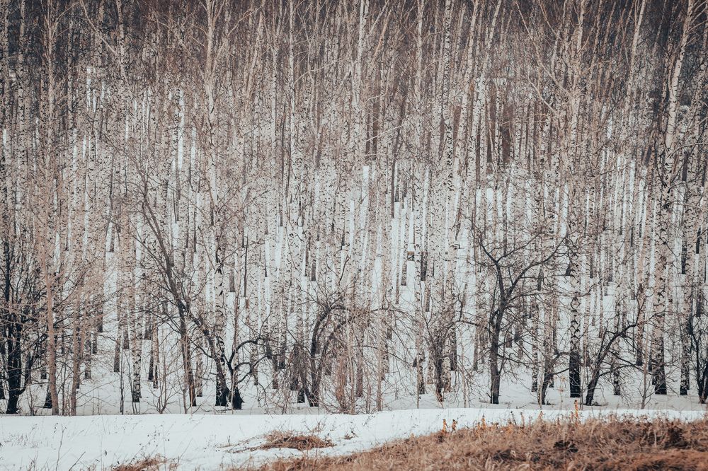 Photograph by Сагдиева Эльвира