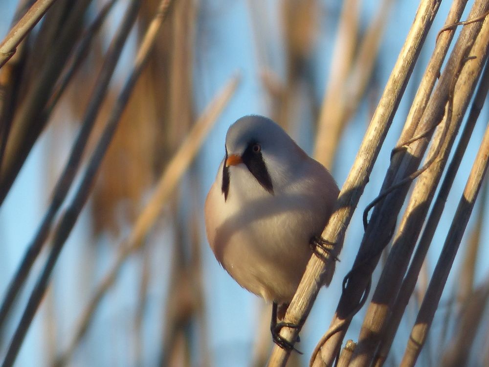 Photograph by Георгий Салюков
